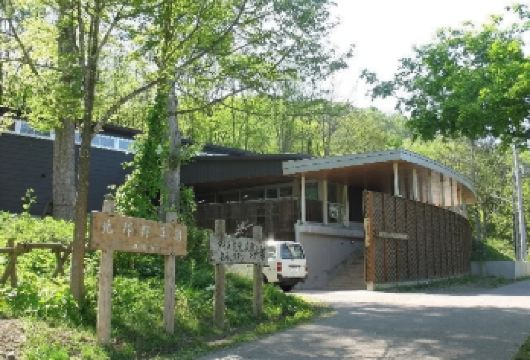 日本北海道+旭川+白须瀑布+青池一日游/行程可调-可定制多日【包车一日游，解锁旅行新方式！独立车辆配备经验丰富的老司机，为您量身打造专属行程。】