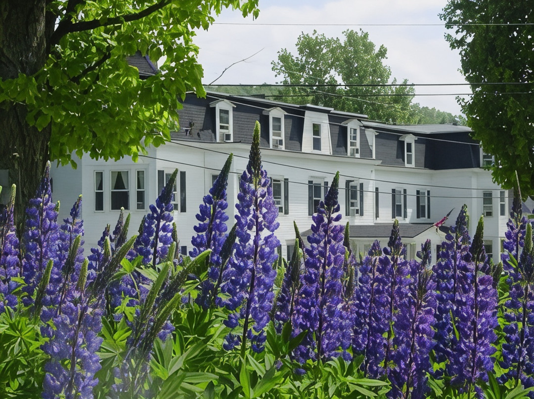 Lisbon酒店住宿-Hideaway Inn Franconia Notch