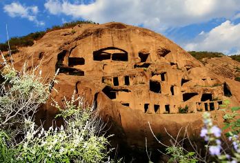 北京野鸭湖国家湿地公园包车一日游【独立包车/五环内上门接送】【承接单位团建、拓展、可以安排住宿、导游、拓展训练、餐饮、增强团队凝聚力提高集体荣誉感。】