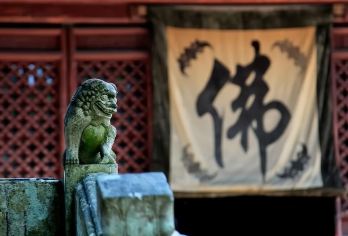 天台山风景区+国清寺+大瀑布一日【含大门票/优待票/免费票】【[天台宗祖庭]隋代三宝（隋代古刹、隋梅、隋塔）距今1400多年】