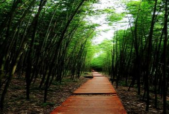 西安鲸鱼沟竹海风景区+白鹿原·白鹿仓一日游【网红打卡亲子游】【西安鲸鱼沟，千亩竹林，鲸鱼湖，报恩寺，获得“关中三奇”之美称】