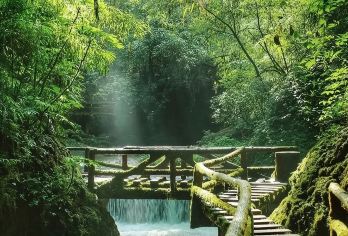 【2-8人私家团】青城后山一日游*含门票*成都三环内接送【[优势亮点]私家团含门票，不拼车，不拼人，专车专用，属于专属空间。】