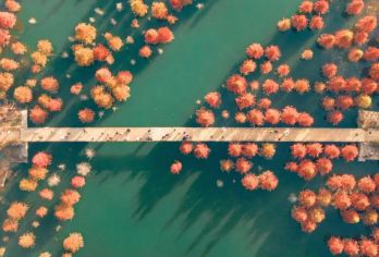 云南昆明：滇池+石林 一日游【西游记拍摄地+海鸥超绝拍照】#【云南极大的淡水湖滇池，湖光山色美不胜收。日落时分的绚丽晚霞，秋冬时节红嘴鸥纷飞的盛景】