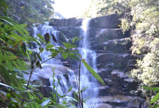 武夷山自然保护区1日游 打卡月亮湾·青龙大瀑布·解密桐木关【月亮湾竹筏漂流赏碧水丹山，青龙大瀑布观银河倾泻，桐木关探秘红茶发源地，自然与人文交融。】