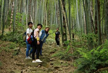 乾隆古道一日游【徒步长兴乌石古道，循乾隆古道】【[乌石古道]徒步乌石古道，穿越竹林幽径，攀爬乌石浪，野趣十足！】