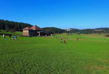 武隆仙女山森林公园+天生三桥一日游（含门票.含午餐)全程纯玩【武隆天生三桥+仙女山森林公园一日游】