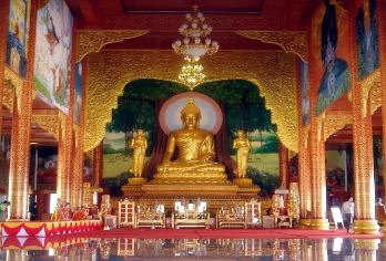 景洪出发：傣族园+野象谷+热带植物园一日游【私家团】【私家小团丨小众玩法丨纯玩无购丨独立包车丨行程可调丨随停随走丨时间自由丨上门接送】