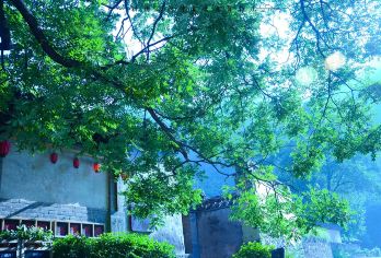 爨底下村+双龙峡包车一日游【赏秋/上门接送/时间自由】【承接单位团建、拓展、可以安排住宿、导游、拓展训练、餐饮、增强团队凝聚力提高集体荣誉感。】