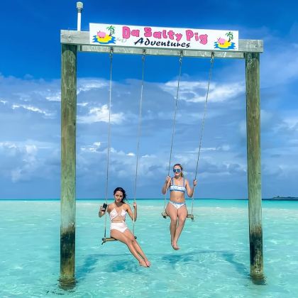 巴哈马拿骚：三岛游+猪沙滩+海龟+午餐4H