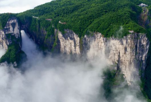 张家界国家森林公园 + 魅力湘西演出（含专车接送 + 门票）【专业导游分享深度景点故事，灵活定制行程，助您避开匆忙，享受轻松愉快的旅程。 欣赏三千石英奇峰与天下第一桥——沉浸于现实版自然仙境。 观赏经典魅力湘西表演，近距离体验原生态的茅古斯舞与苗鼓舞独特魅力。】
