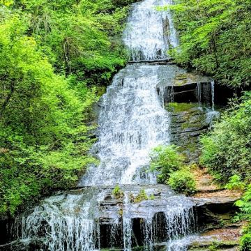 美国亚特兰大-大烟山国家公园-鸽子谷【中文包车自由行】