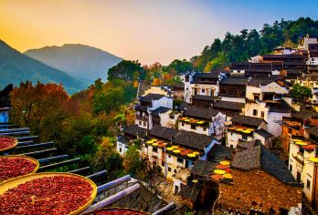 婺源篁岭+江湾+李坑+月亮湾一日游【独立私家小包团拒绝拼团】【私家团一单一团，拒绝和他人拼团，让您更舒心。城区酒店/车站上门接送，免费高铁接站。】