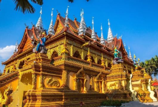 【纯玩】中国科学院西双版纳热带植物园+傣族园一日游【产品行程中不主动推荐且不强制购物。】