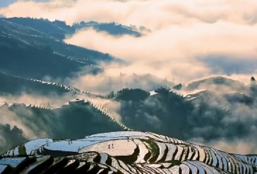 【纯玩+小团】桂林龙脊梯田-黄洛寨+平安梯田+金坑梯田一日游【[高端服务]8人商务小团/包车团，高端纯玩、无购物、无车上推销！】