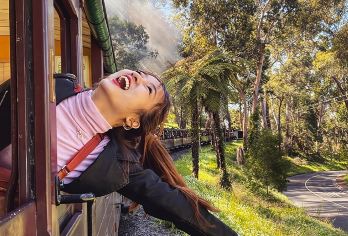 澳大利亚墨尔本普芬比利蒸汽小火车+菲利普企鹅岛一日游中文【看神仙小企鹅结队归巢，体验森林穿梭之旅】