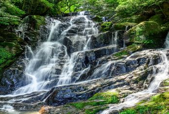 日本北九州白丝瀑布+雷山千如寺+福冈塔一日游【观赏一蘭之森 ，一个被洁净泉水、清新空气、满满绿意环抱的世外桃源】