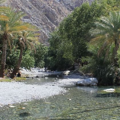 马斯喀特周边Seeb鱼市和Wakan Village一日游