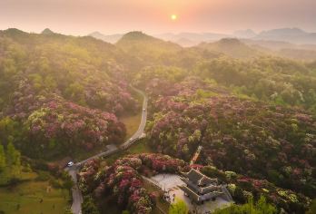 贵州贵阳+甲秀楼+筑城广场+百里杜鹃风景区包车定制一日游EA【车接车送，专业地接团队。全天包车8小时，景点可调整，时间自由。】