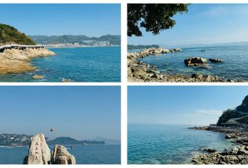 多彩鹏城丨深圳市区纯玩一日游丨含地王观光【[行程透明]全程无隐性消费,全程透明消费,专业接待及贴心服务 ！】