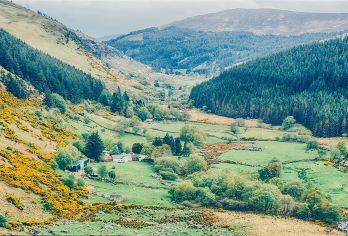 基尔肯尼 & 威克洛 &格兰达洛一日游（都柏林出发）【用 2 小时探索《勇敢的心》中出现的 10 世纪修道院城市、湖泊、瀑布和美丽风景】