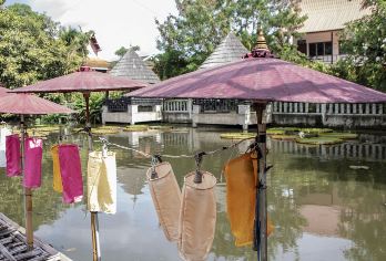 山塘街+狮子林+寒山寺一日游【杭州出发纯玩无购物】【[魅力之旅、成团无忧]】