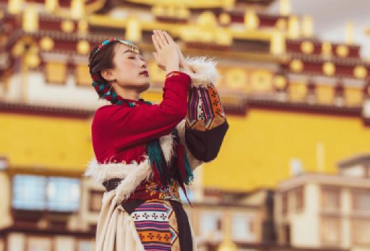 虎跳峡+独克宗古城一日游【14人团+可选松赞林寺/依拉草原】【[随选出发地]有限的时间多玩一个城，丽江出发当天往返香格里拉 ，满足你的秘境之旅。】