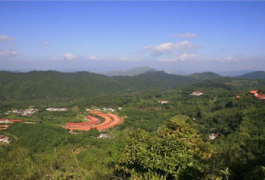 2人起私家团叶帅故居雁南飞桥溪古韵一日活动梅州汕头潮州上门接送【所选城市市区免费上门接送，方便快捷，省时省力（时间可微调）】