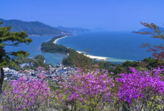 日本大阪-和歌山城-白滨町冒险大世界【中文专车-舒适纯净】【中文专车出行，景点灵活调整，打卡经典，游玩自己定义，无需等待，专属贴心服务，尽享惬意旅程】