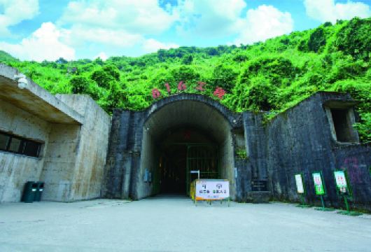 重庆816工程+白鹤梁+陈万宝一日游【2-8人团】赠榨菜咖啡【[稀缺性资源组合]集合文化遗产+工业奇观，双重IP，市场罕见】