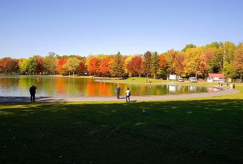 蒙特利尔皇家山观景台+老城+地下城市+旧港区【城市自然与历史全景：不仅参观著名教堂，还将登高俯瞰城市天际线，漫步于充满法式风情的古老街区。】