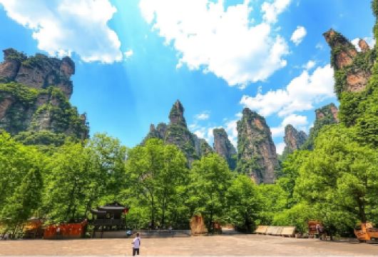 张家界国家森林公园一日游【可选8人/25人精品小团】【[深度]阿凡达/西游记拍摄地、天子山核心景区，精华景点一个不漏，让您全景畅游张家界核心景区；】