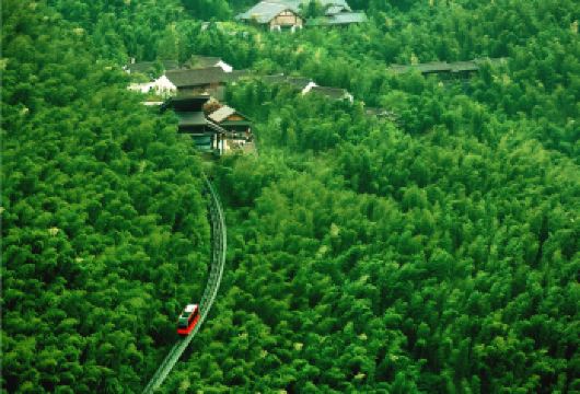 【万象更新•福起南山】常州溧阳南山竹海纯玩一日游【[服务保障]旅行社承诺不进任何暗店，真正团型】