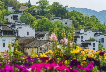 篁岭一日游【黄山进出，纯玩无购物天天发班】【独具特色的梯田云岭人家世外桃源，给你的心灵一次彻底的放松】