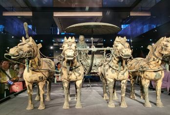 西安兵马俑+丽山园一日游【8人团/三环内上门接】【[精品小团]全程不拼团、不换车，专享服务，8人小团，给您完整放心体验！】