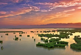 银川出发沙湖生态旅游区+宁夏博物馆包车一日游【上门接送，精品包车小团，随订随走，时间自由掌控，懒人行】