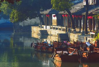 苏州园林狮子林+寒山寺+山塘街一日游【上门接/真纯玩无购物】【紧跟潮流，网红老街+热门影视剧取景地，拍照片停不下来，做朋友圈的亮点。】