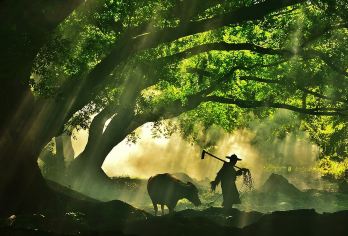 福建霞浦光影栈道【北岐滩涂、杨家溪、小皓滩涂东壁村上门接送】【[服务保障] 严选正规资质车辆和司机+陪您追光逐影！ 一对一VIP专车服务/24小时行程管家服务！】