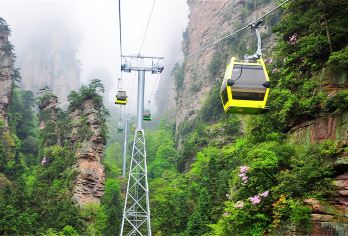 张家界国家森林公园一日游【一单一团+私家小包团+含魅力湘西】【[品质专线]全新升级深度游，高分好评，打卡核心网红景点——袁家界、百龙电梯、十里画廊、天子山。】