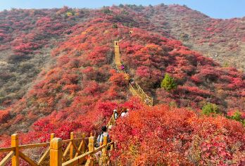 北京水峪村包车游【赏秋之旅/上门接送时间自由/单位团建拓展】【南窖水峪村~北京“西山文化带”的重要组成部分，古宅、古碾、古道、古中幡“四古文化”村。】