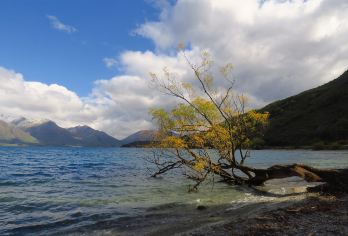 新西兰皇后镇往返 箭镇-瓦纳卡小镇 畅游南北岛可定多日包车【专属客服和本地中文司机，一家一团包车】