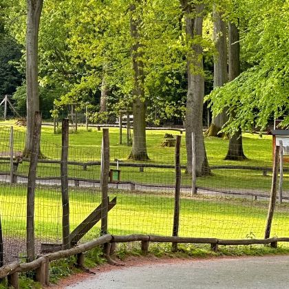 德国杜塞尔多夫自然公园+科隆教堂+巧克力博物馆经典双城之旅