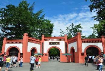 熊猫基地+都江堰一日游【门票保障|真纯玩含午餐+三环内接早】【邂逅超萌国宝，打卡千年古堰】