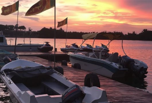 斯里兰卡加勒Bentota River一日游河探险24487【在这个激动人心的红树林河野生动物园体验中探索本托塔河未知的红树林】