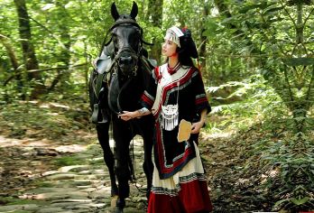 普洱茶马古道遗址公园一日游【可选雨林徒步穿越+景区常规游】【[尊享独立用车]市区酒店上门接送、一人一座、拒绝嘈杂环境，纯玩行程，随心出发，懒人玩法！】