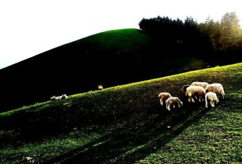 新疆盐湖景区+南山牧场+达坂城古镇景区一日游【精品包车游】【[专车接送]专车无忧往返接送】