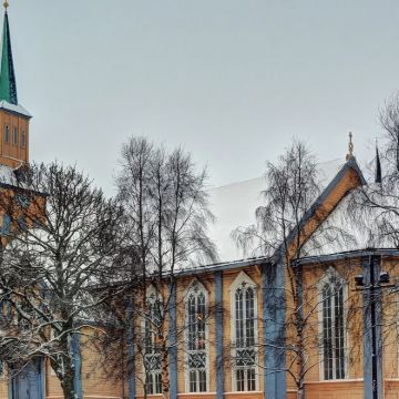 挪威特罗姆瑟往返塞尼亚岛/罗弗敦等一日游【中文司机+可拼车】