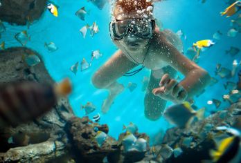 惠州双月湾出海玩水【游泳/海钓/赶海/夜钓鱿鱼/包船多项】【超多玩乐可选丨游泳 海钓 拉笼 赶海 注意丨海钓船长全程指导 有空军风险 不建议许愿】