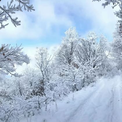上门接送 | 关门山国家森林公园一日游*独立出行*不拼车