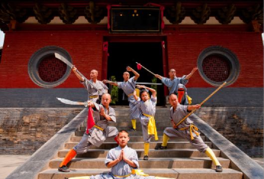 嵩山少林寺+表演+塔林+三皇寨1日游【上门接+可选20人团】【[品牌实力]专注河南地接线路25余年。优选商家，天天发团，不进购物店，只做纯玩高品质；】