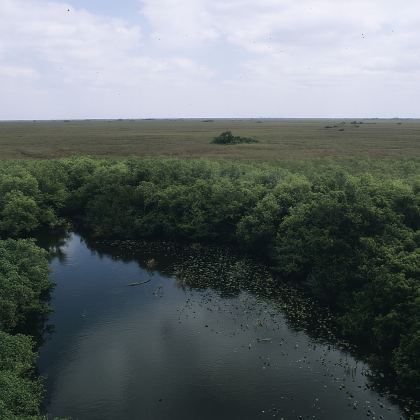 美国迈阿密-大沼泽地国家公园一日游【中文包车自由行】